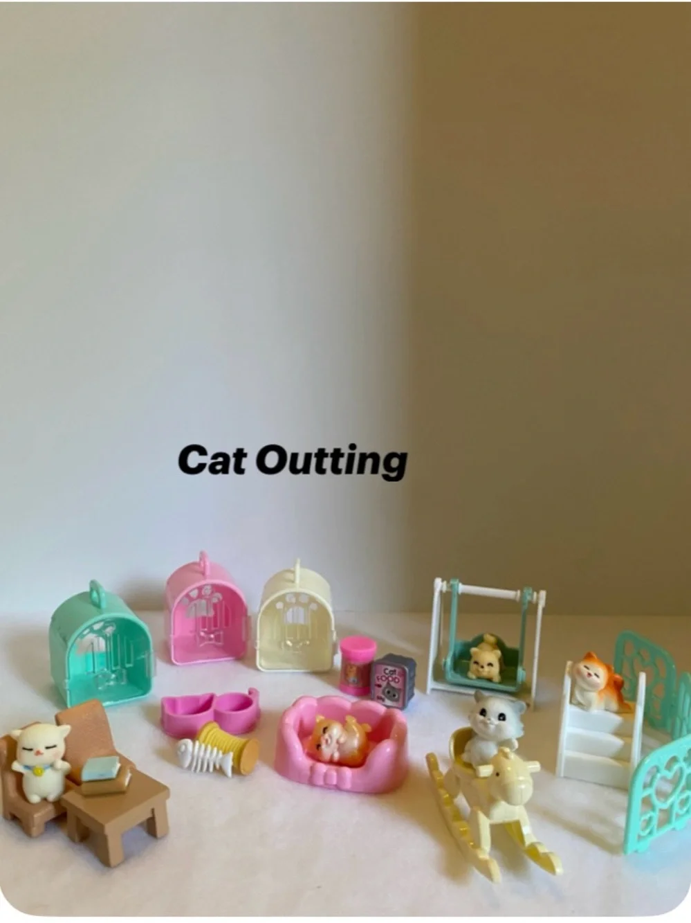 Cat Outting Playset